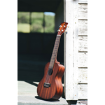 Ukulele MAKALA MK C Concert - compresa custodia KALA