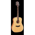 Chitarra acustica TAKAMINE GD20 NS (natural satin)
