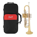 Tromba in Sib - BACH TR501 D - con astuccio